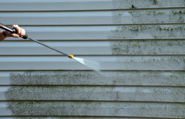 Best Roof Pressure Washing  in Flying Hills, PA