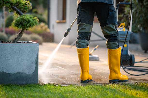 Best Local Pressure Washing Services  in Flying Hills, PA